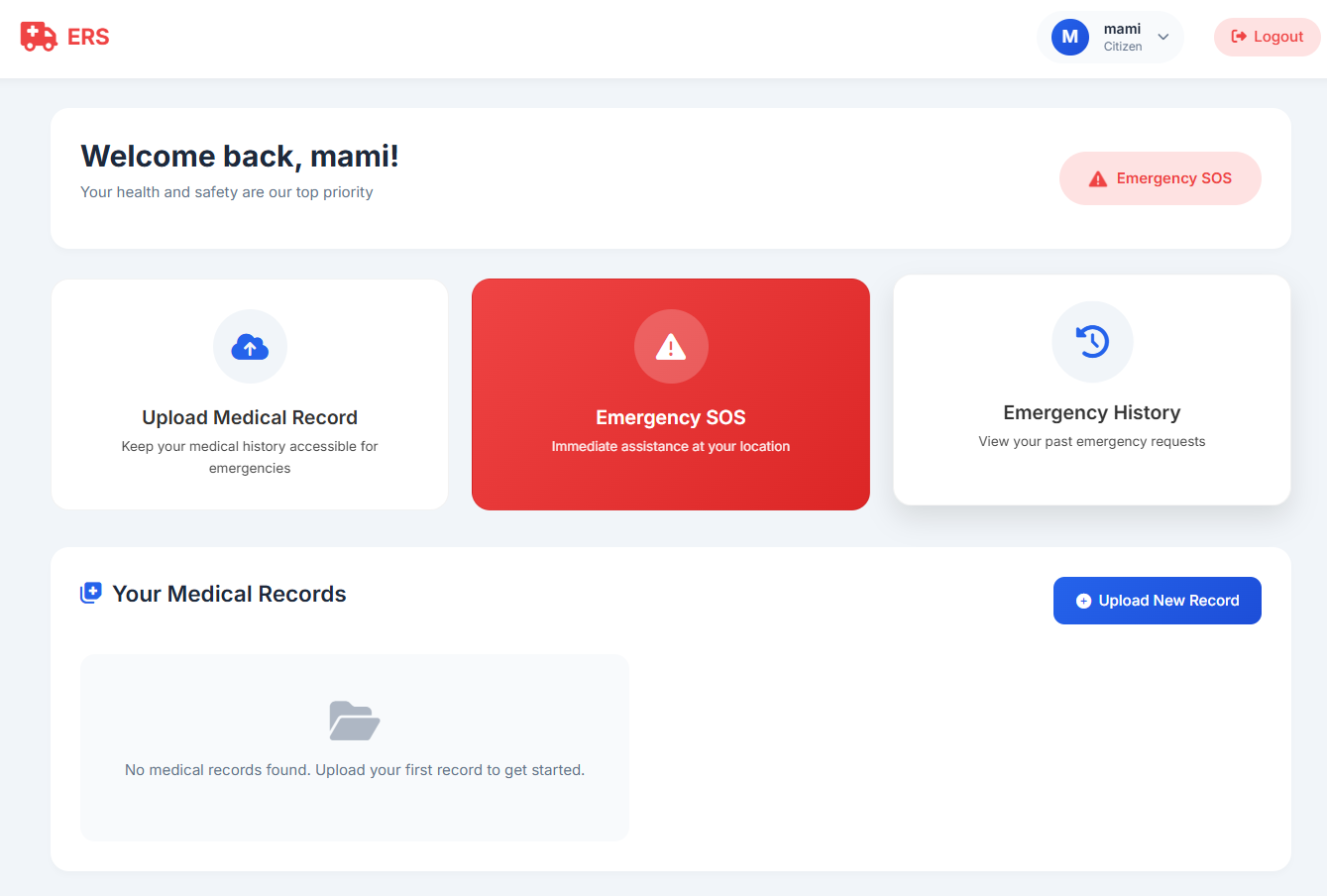 Emergency response dashboard interface showing real-time data visualization